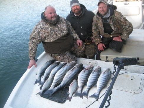 Nice Striped Bass